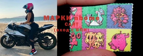 ПСИЛОЦИБИНОВЫЕ ГРИБЫ Вязники