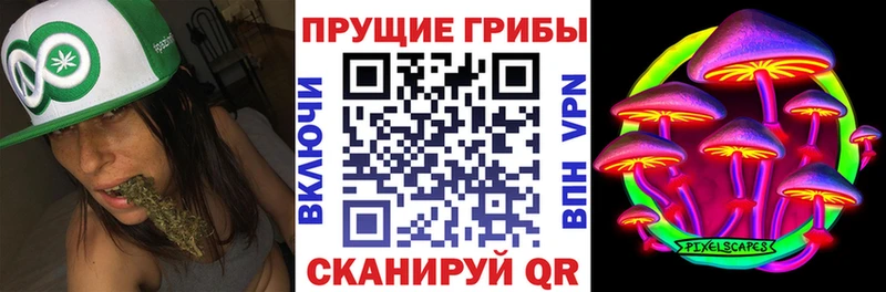 Купить закладки  Майский  Псилоцибиновые грибы ЛСД 