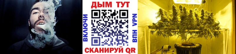 Купить  Майский  Конопля план 